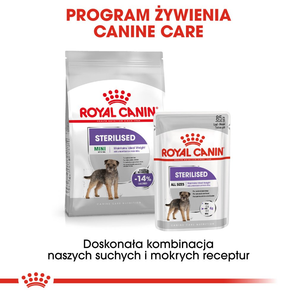 ROYAL CANIN CCN Sterilised Mini Pasztet 12x85g