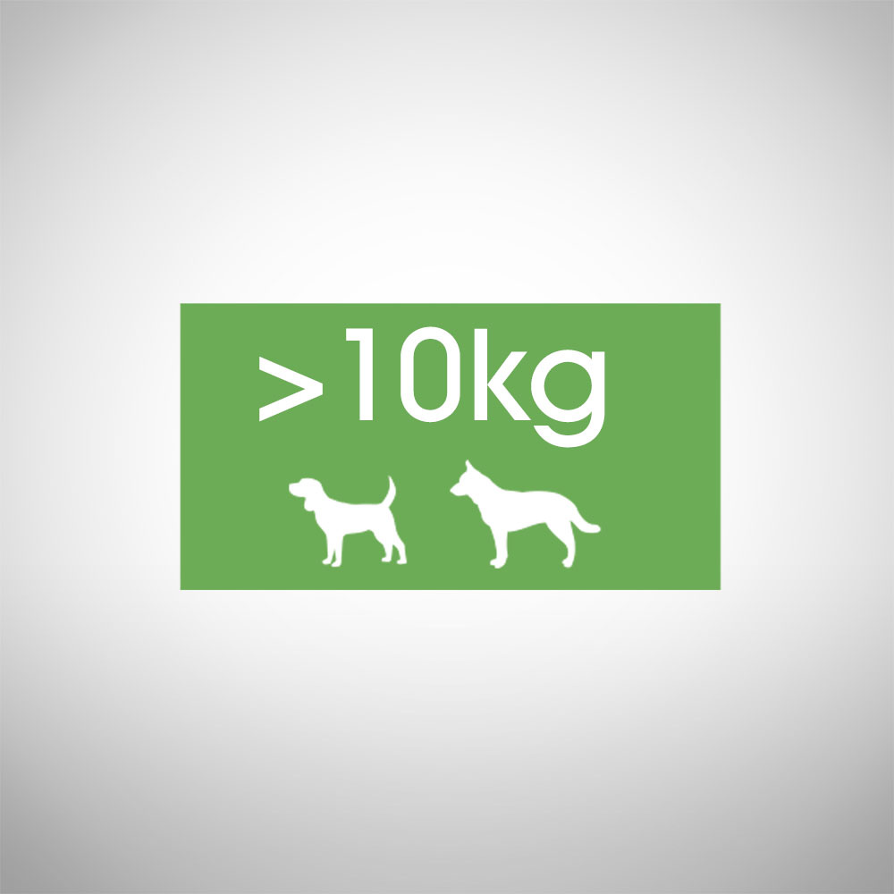 Perfect Fit™ - sucha karma pełnoporcjowa dla dorosłych psów średnich i dużych ras, bogata w kurczaka 6kg