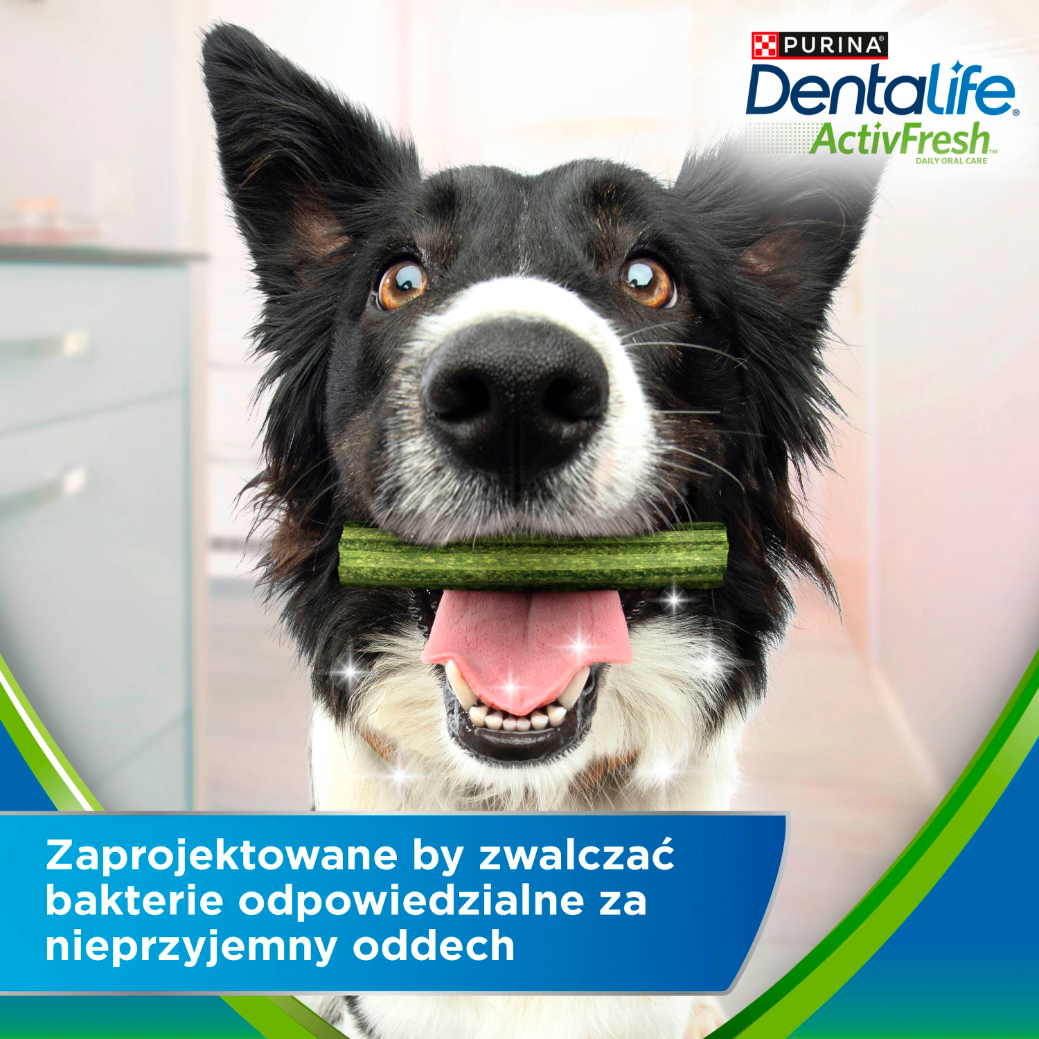 Purina Dentalife Activefresh Przysmak Dla Psa 142g 4 Sztuki