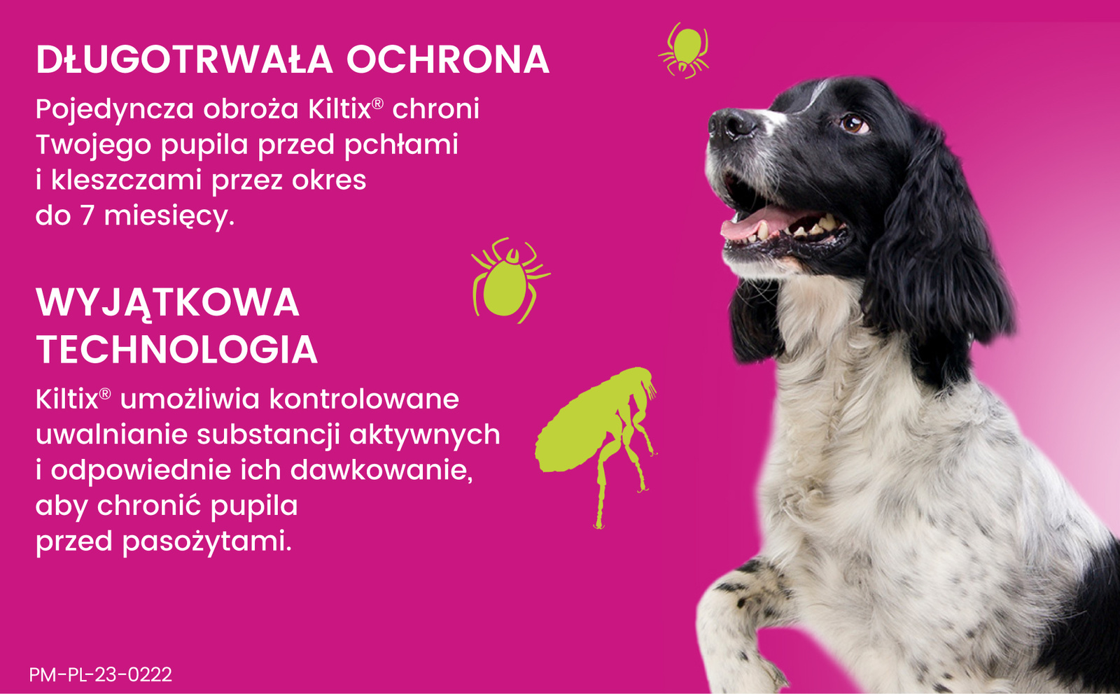 Bayer Kiltix Obroża Na Kleszcze I Pchły Dla Psa 53cm