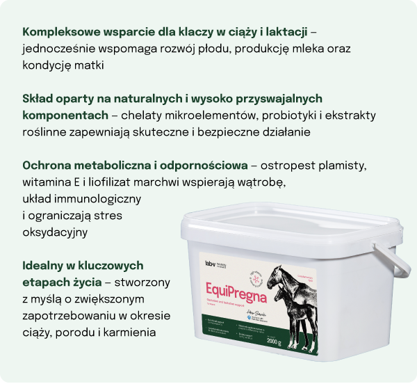 Lab-v EquiPregna Mieszanka paszowa uzupełniająca dla klaczy ciężarnych i karmiących, wspierająca przebieg ciąży, rozwój płodu oraz produkcję mleka 2000g