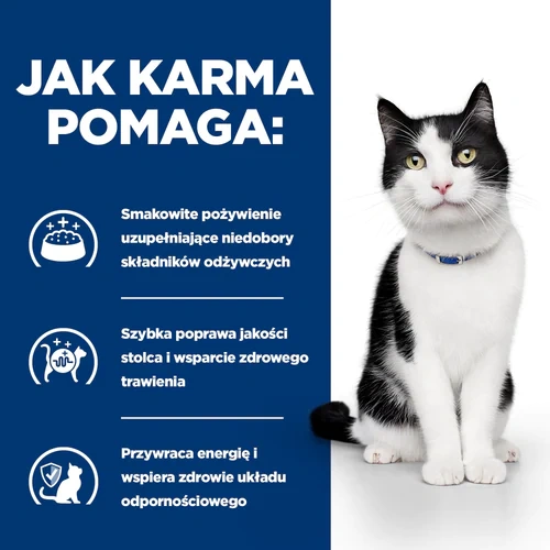 Hill's PD Prescription Diet Feline i/d Z Łososiem 85g