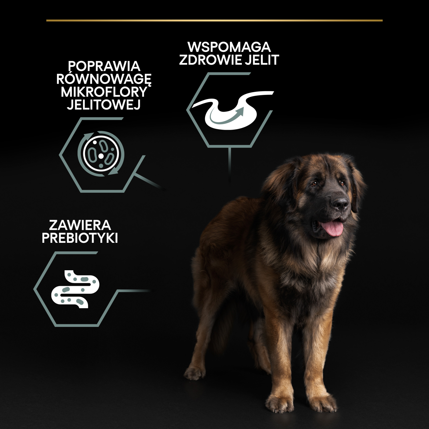 Purina Pro Plan Large Robust Optidigest Jagnięcina Z Ryżem 14kg