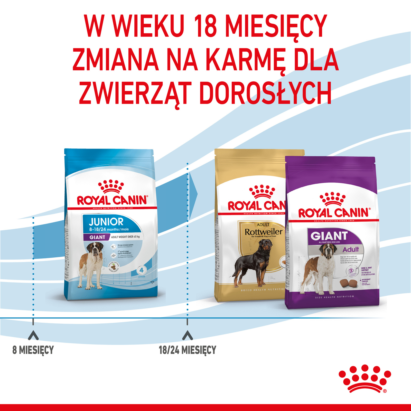 ROYAL CANIN Giant Junior 15kg