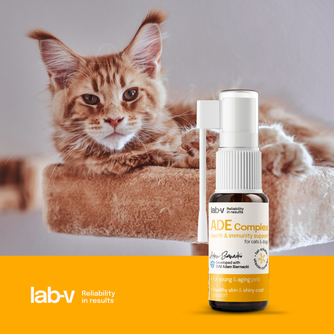 Lab-v ADE Complex Kompleks Witamin A, D I E W Formie Spreju Dla Psów I Kotów 2 x 10ml