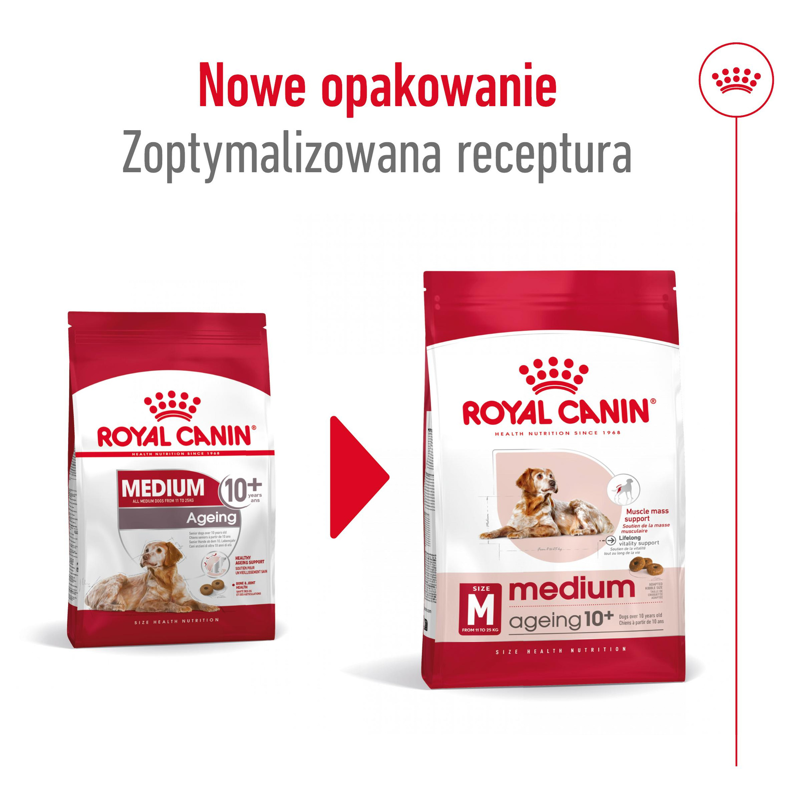ROYAL CANIN Medium Ageing 10+ 15kg