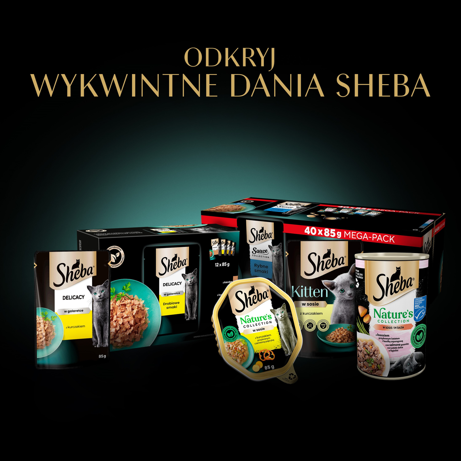 Sheba Delicacy Rybne Smaki W Galaretce, Z Łososiem, Z Białą Rybą, Z Tuńczykiem, Z Dorszem 80x85g