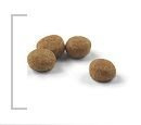 ROYAL CANIN Sterilised 37 2kg