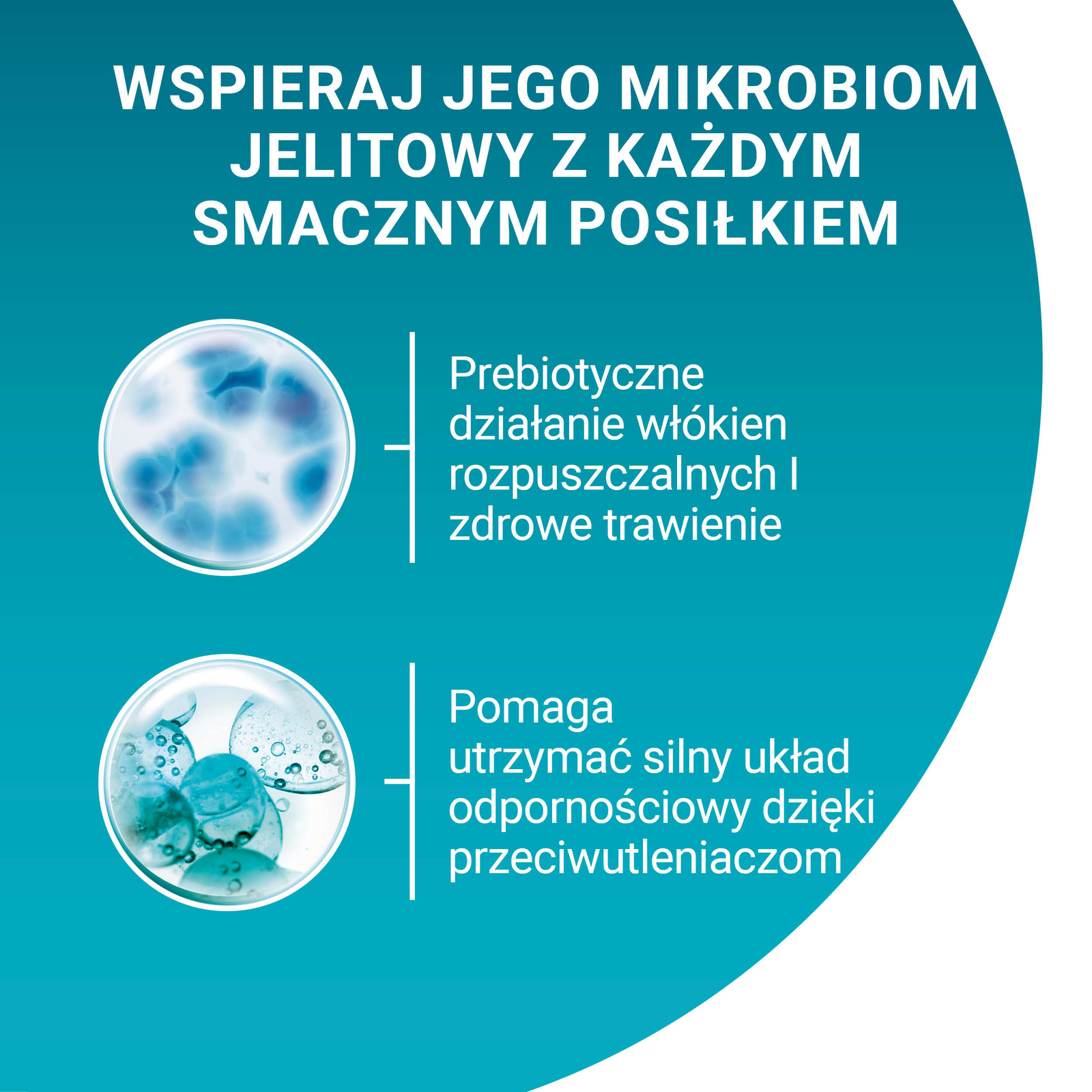 Purina One Junior Karma Dla Kociąt Z Łososiem I Marchewką 85g