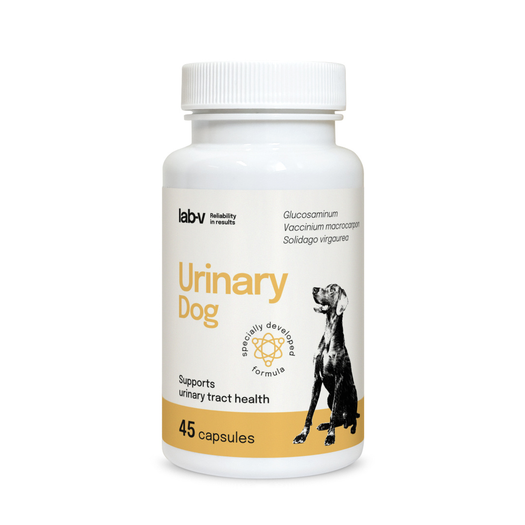 Lab-v Urinary Dog Wsparcie Przy Zakażeniu Dróg Moczowych U Psów 45 Kapsułek