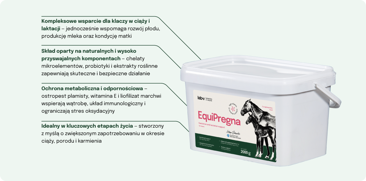 Lab-v EquiPregna Mieszanka paszowa uzupełniająca dla klaczy ciężarnych i karmiących, wspierająca przebieg ciąży, rozwój płodu oraz produkcję mleka 2000g