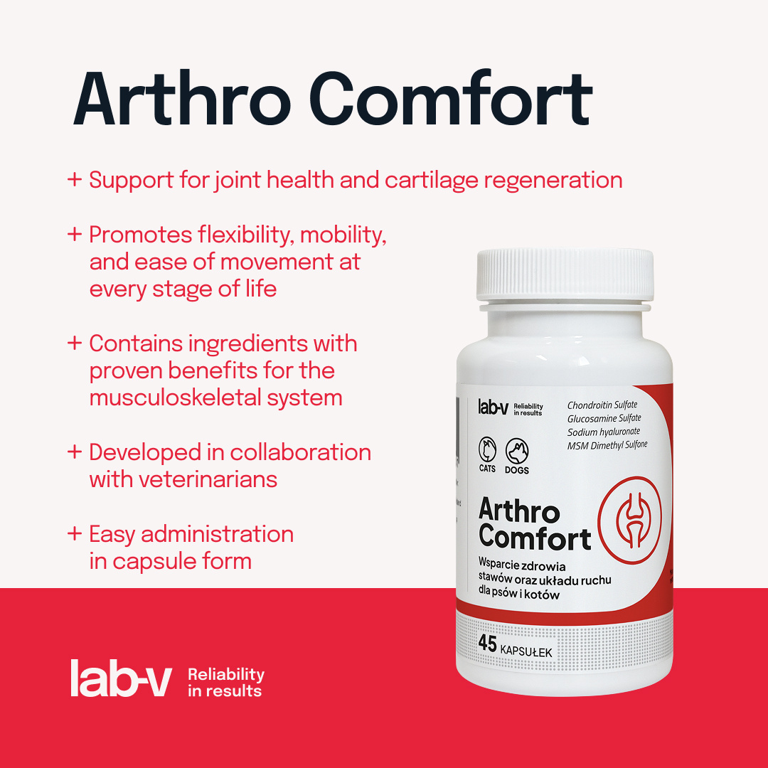 Lab-v Arthro Comfort Kompleksowe Wsparcie Zdrowia Stawów I Układu Ruchu Dla Psów I Kotów 45 Kapsułek
