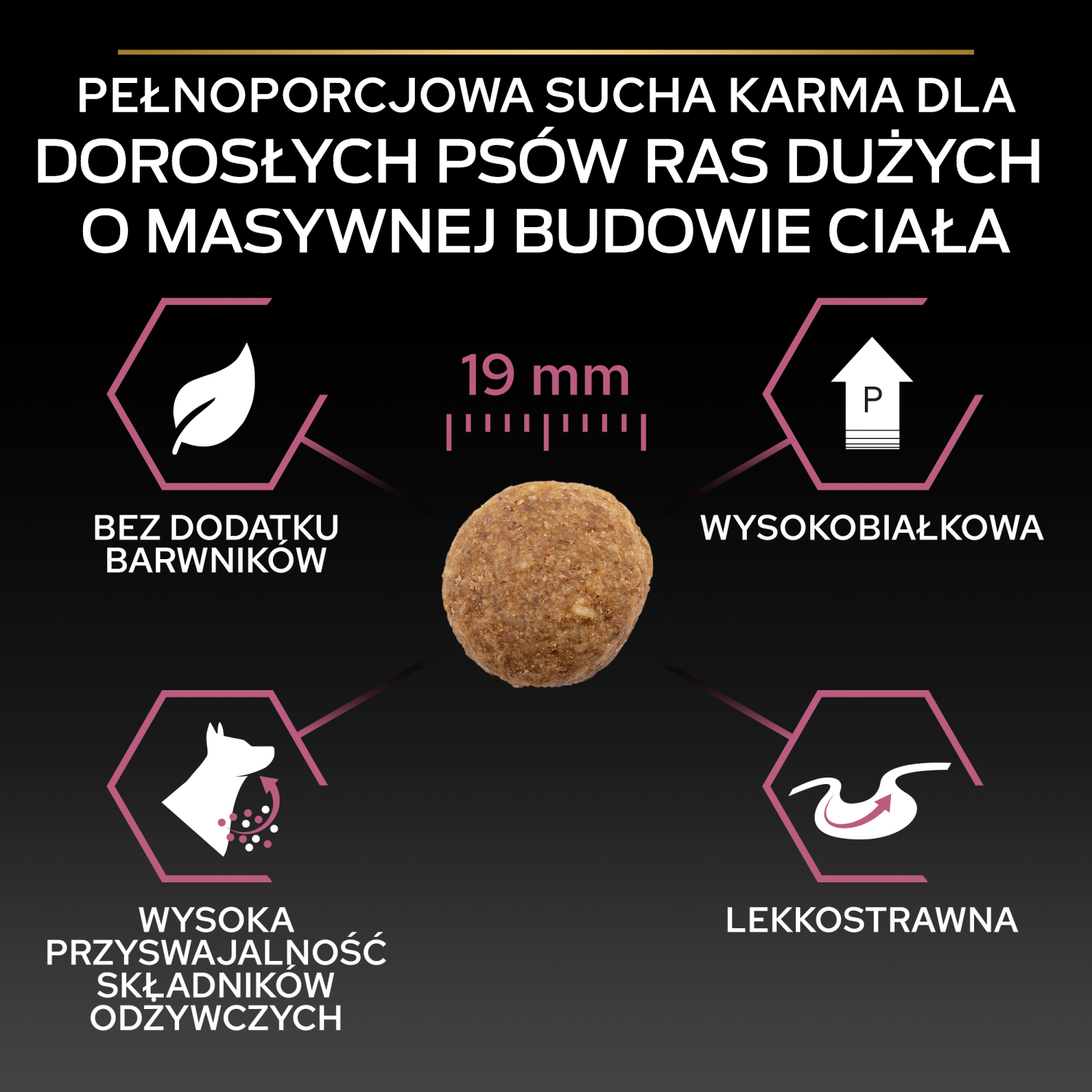Purina Pro Plan Large Adult Robust Optiderma Łosoś Z Ryżem 14kg