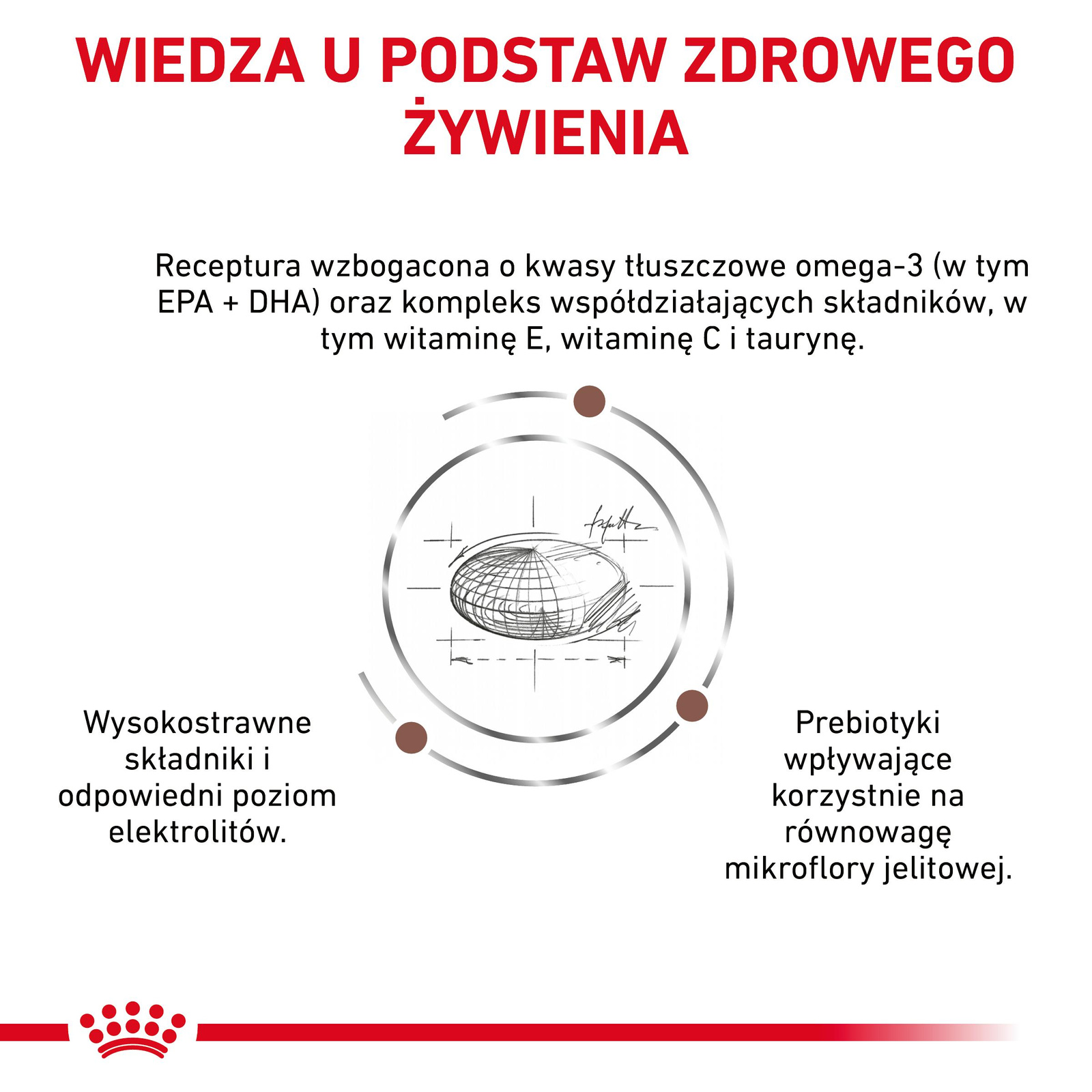 ROYAL CANIN Gastrointestinal Low Fat 12kg