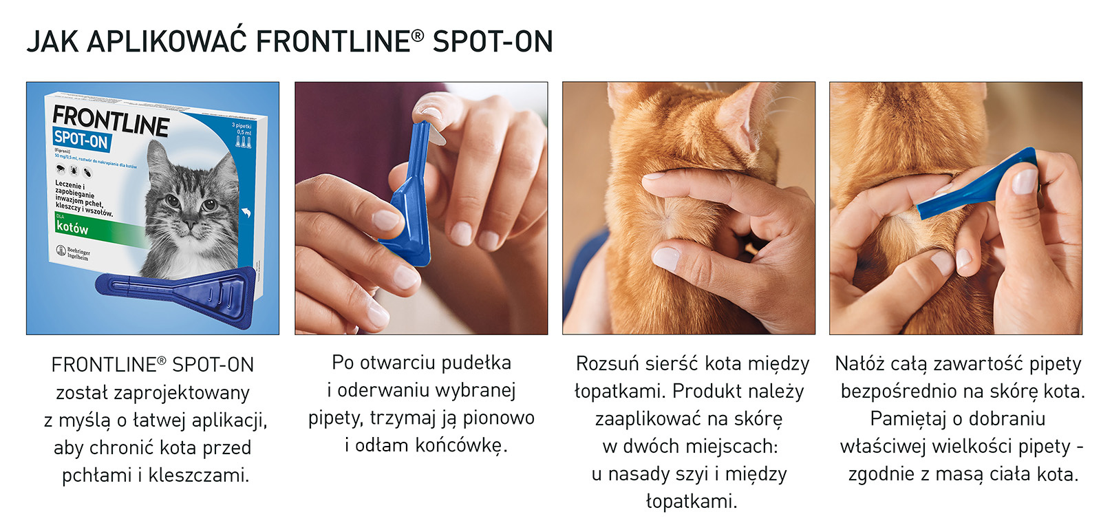 FRONTLINE Spot On Dla Kotów 3x0,5ml