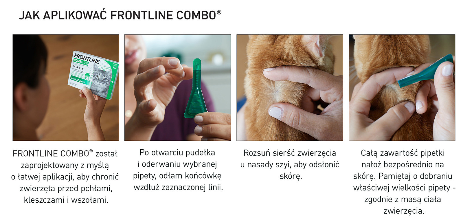 FRONTLINE Combo Spot-On Dla Kotów 3x0,5ml