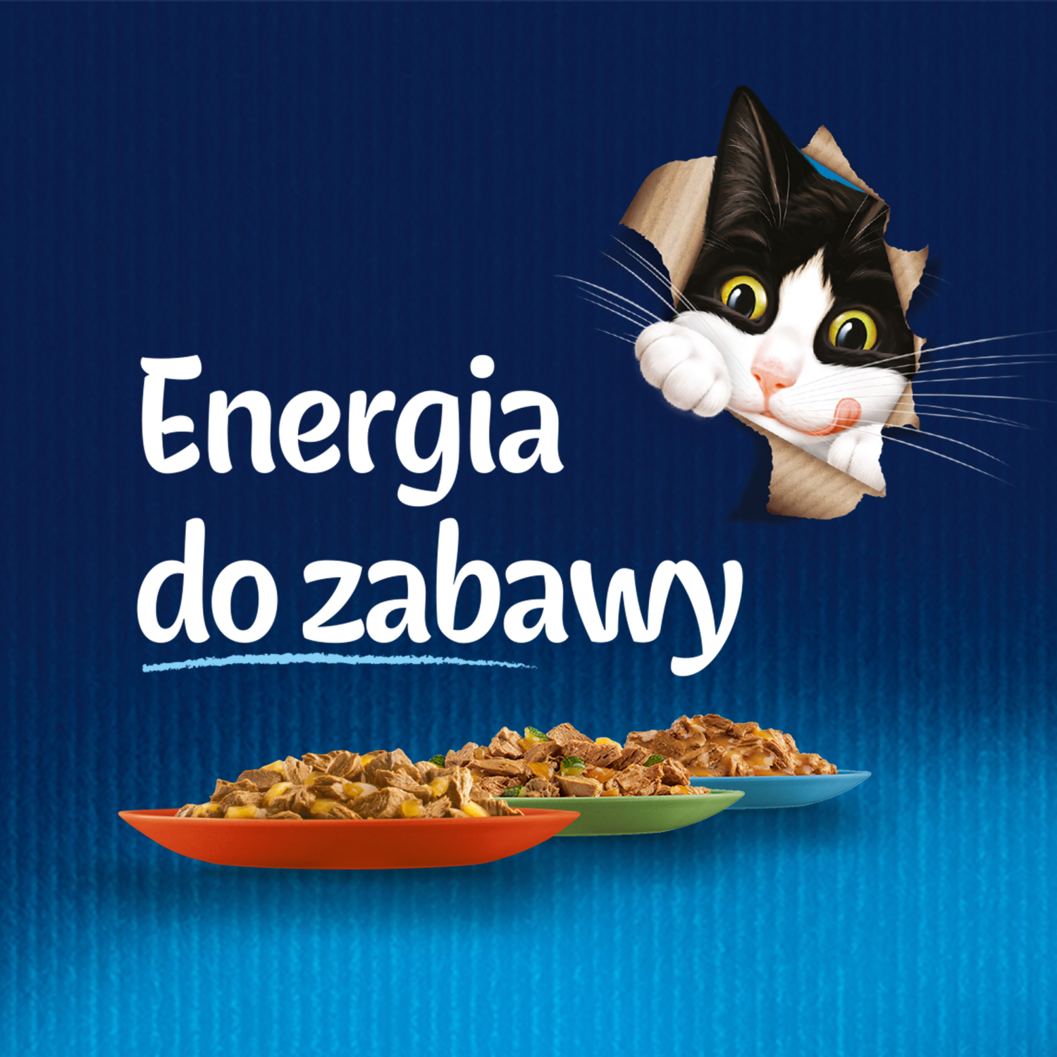 Felix Duo Wiejskie Smaki W Galaretce 4x85g