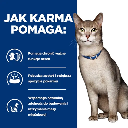 Hill's PD Prescription Diet Feline k/d Kidney Care Wołowina 85g