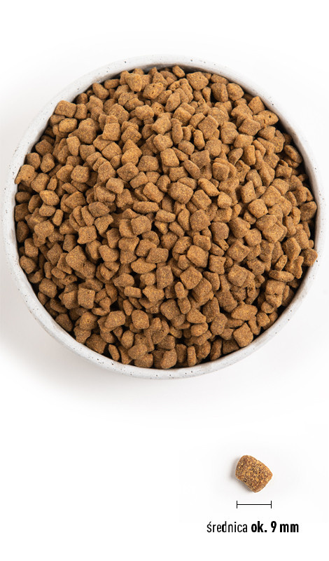 Orijen Small Breed Dog 4,5kg