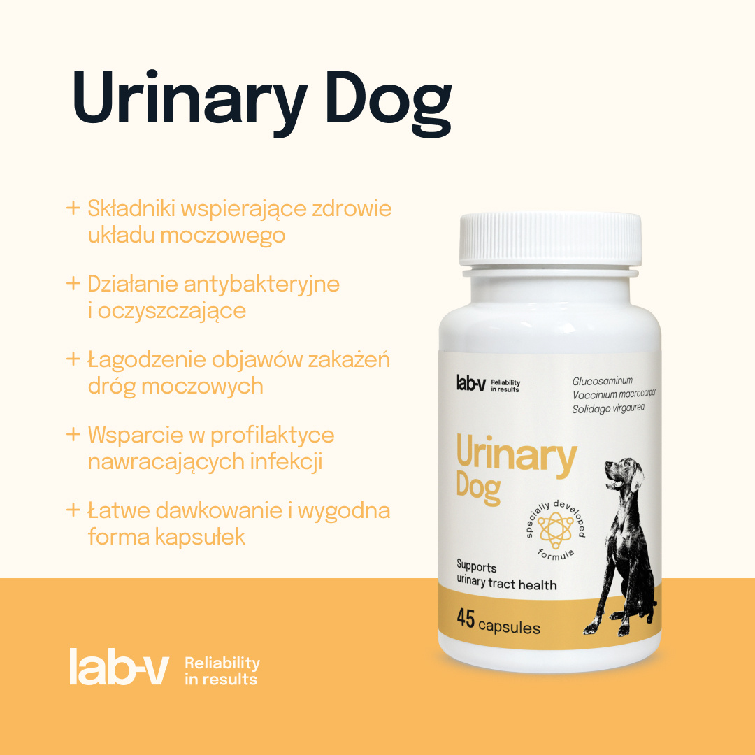 Lab-v Urinary Dog Wsparcie Przy Zakażeniu Dróg Moczowych U Psów 45 Kapsułek