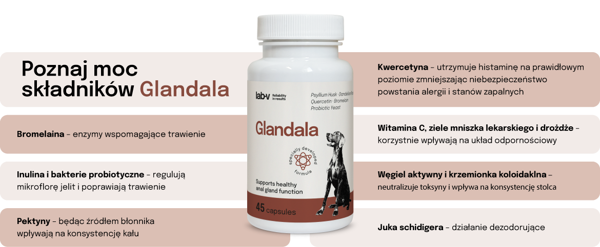 Lab-v Glandala Wsparcie Gruczołów Okołoodbytowych i Przewodu Pokarmowego 45 Kapsułek