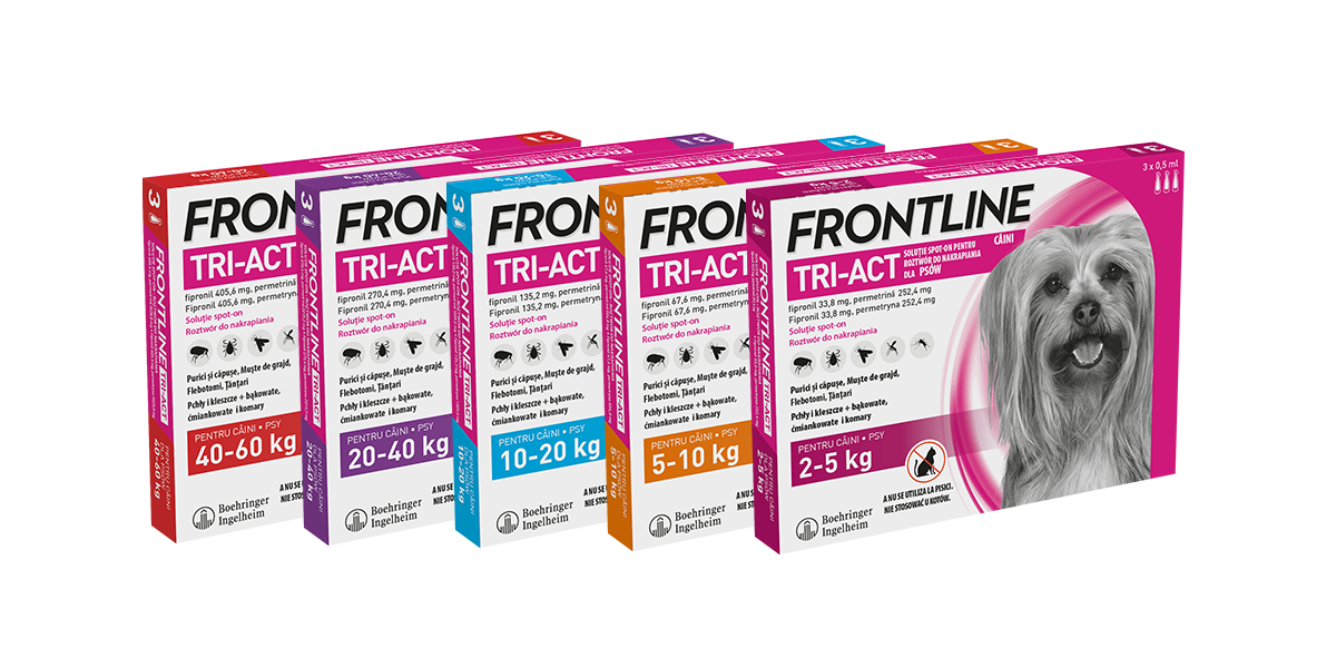 FRONTLINE Tri-Act Dla Psów 3x4ml