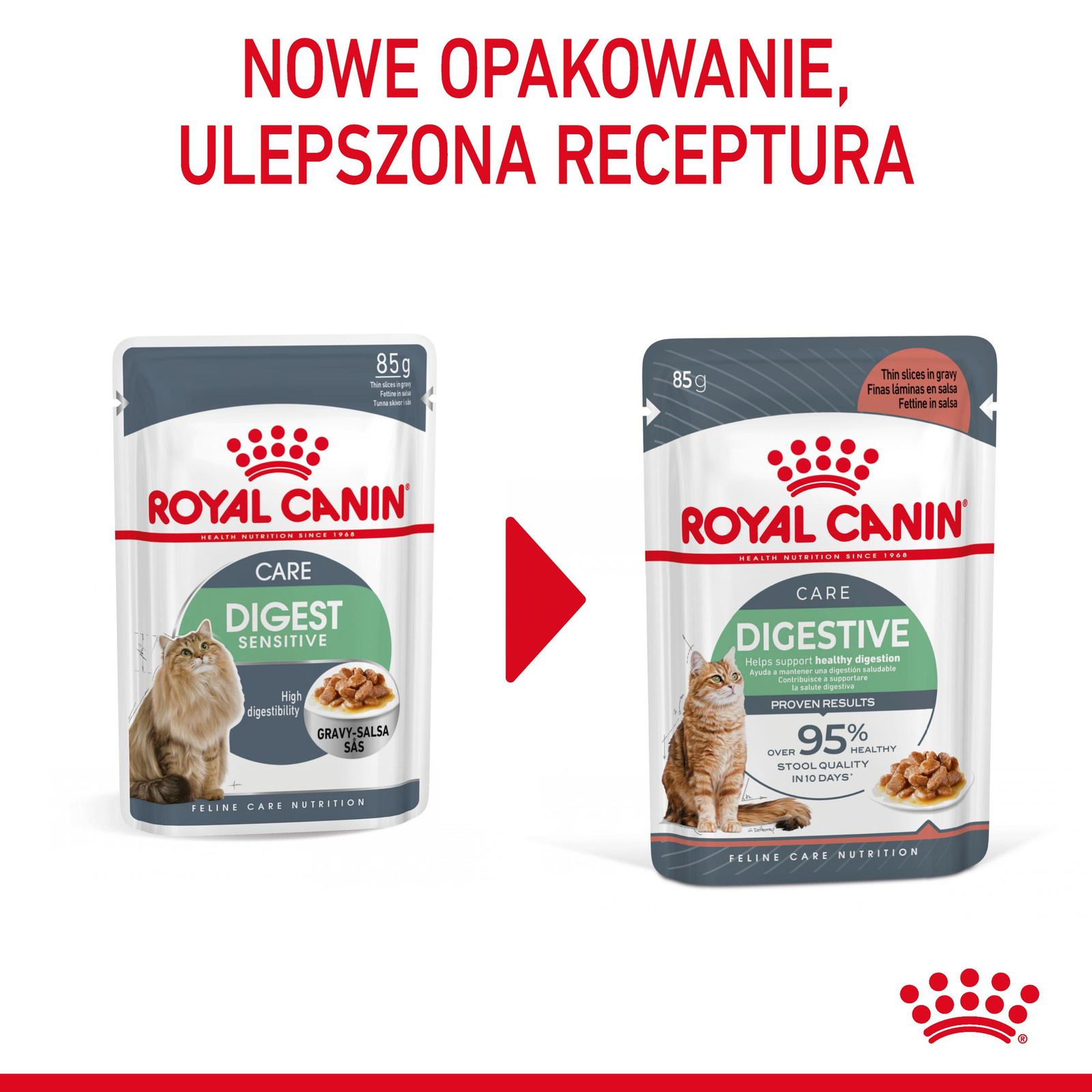 ROYAL CANIN Digest Sensitive 12x85g