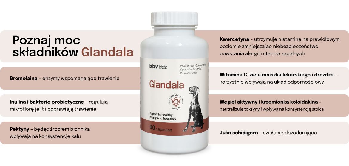 Lab-v Glandala Wsparcie Gruczołów Okołoodbytowych i Przewodu Pokarmowego 90 Kapsułek