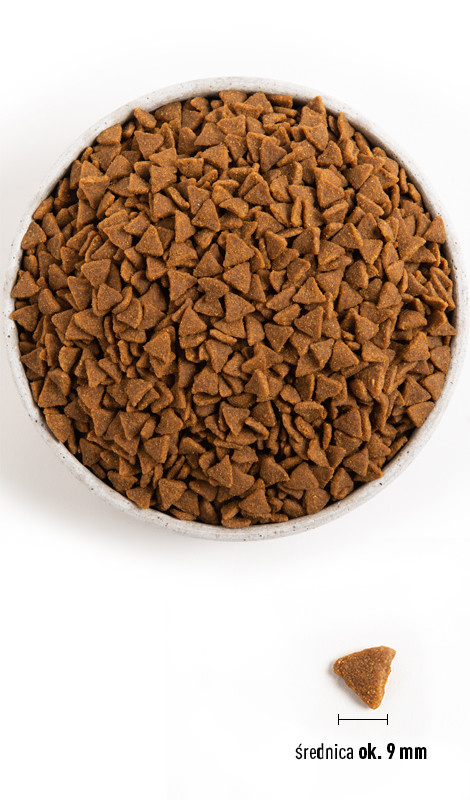 ACANA Homestead Harvest Cat 340g – sucha karma pełnoporcjowa dla kotów dorosłych