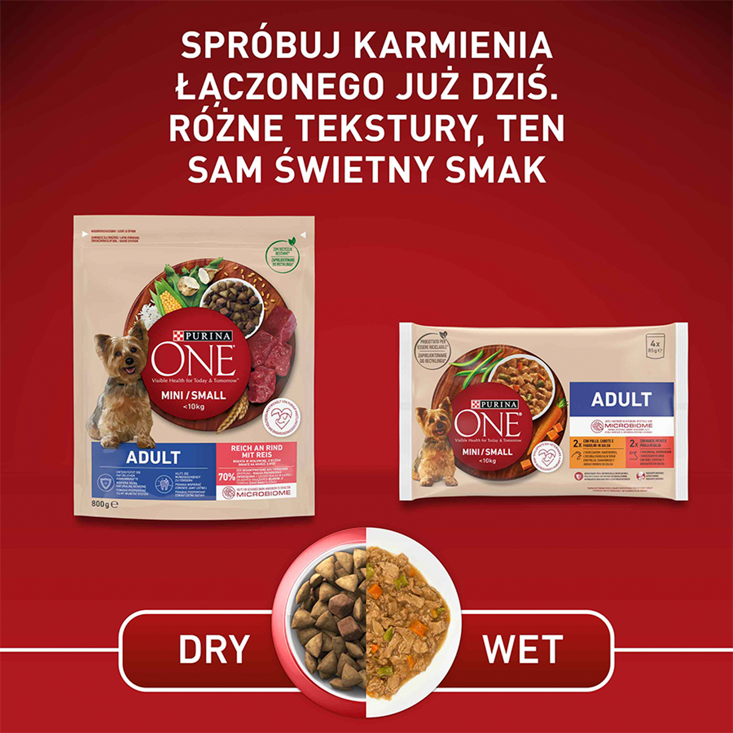 PURINA ONE Mini Adult Wołowina, ryż - sucha karma dla psa - 800g