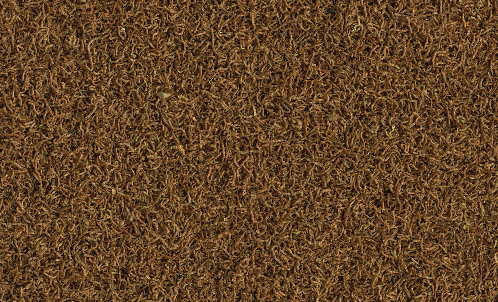 Tetra Delica Bloodworms 100ml
